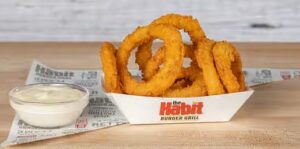 The Habit Burger East Brunswick Onion Rings